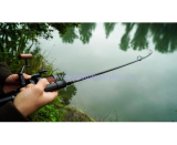 Strategy ST2 SX kaprové pruty 10ft 3lb